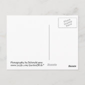 Rainbow Twirl Briefkaart (Achterkant)