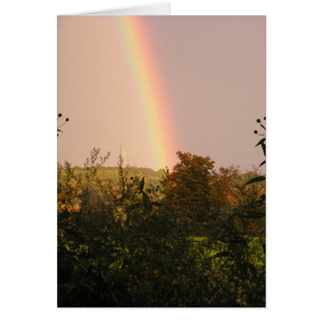 Rainbow Walk II (Voorkant)
