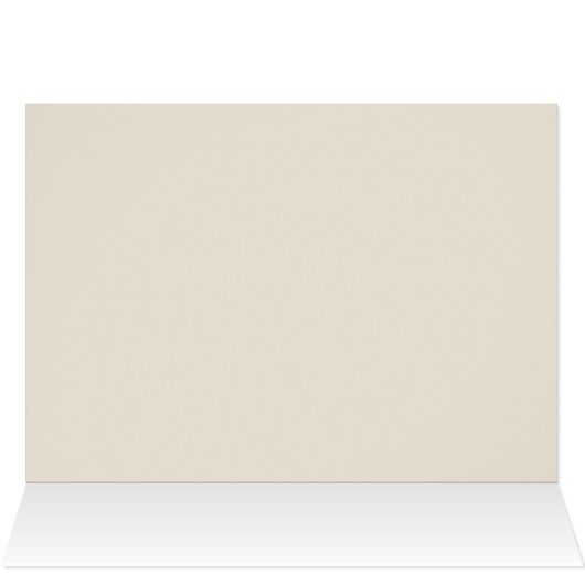 Rainbow Wedding Rings (Binnen Horizontaal (Boven))