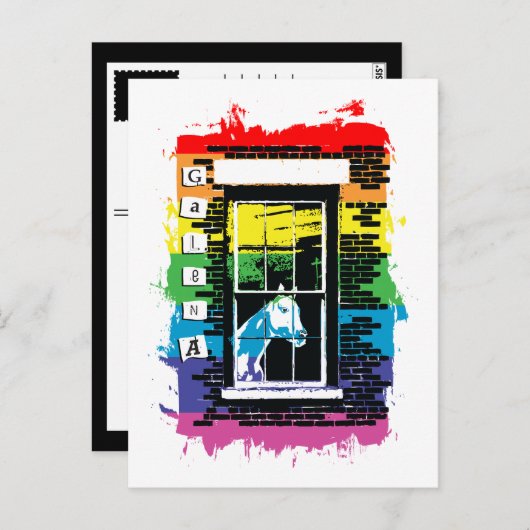 Rainbow Window Horse Galena Briefkaart (Voorkant / Achterkant)