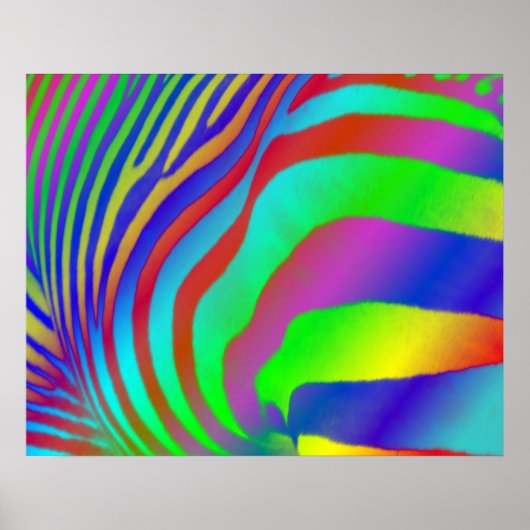 Rainbow Zebra Print (Voorkant)