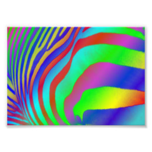 Rainbow Zebra Print Foto Afdruk