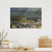 Rainbows achtervolgen poster (Keuken)