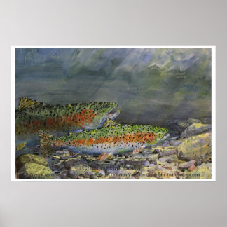 Rainbows achtervolgen poster