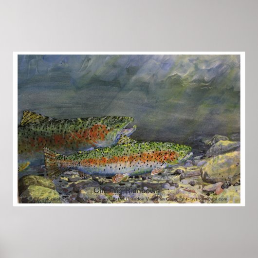 Rainbows achtervolgen poster (Voorkant)