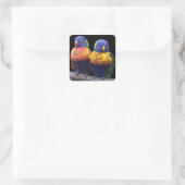 Rainbows Sticker (Tas)