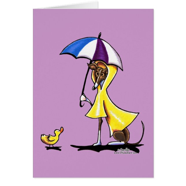 Raincoat italien Greyhound (Devant)