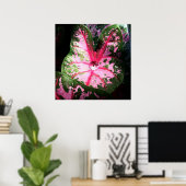 Raindrop op kaladium poster/wandkunst poster (Thuiskantoor)