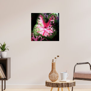 Raindrop op kaladium poster/wandkunst poster