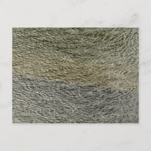 Raindrop Ripples Abstracte Natuur Fotografie Briefkaart