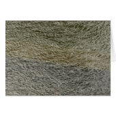 Raindrop se répand Abstrait Nature Photography (Devant Horizontal)