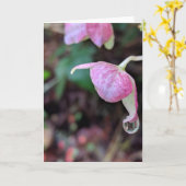 Raindrops Collection #3 Card Kaart (Gele Bloem)