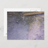 Raindrops in een puddle briefkaart (Voorkant / Achterkant)