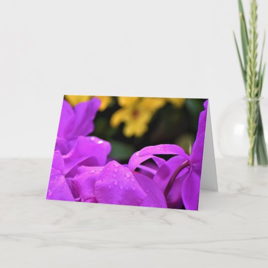 Raindrops, kaart (Voorkant)