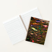 Raindrops Notitieboek (Binnen)