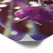 Raindrops op Abstract Paarse Allium Flower Macro Poster (Hoek)