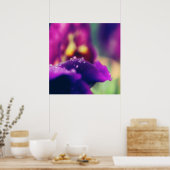 Raindrops op Abstract Paarse petale macro van vent Poster (Keuken)