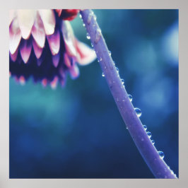 Raindrops op Abstracte Vloerstmacro Poster