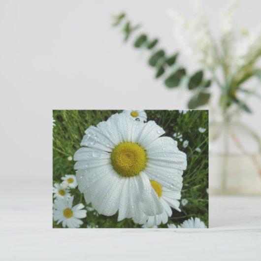 Raindrops op Daisy I Wildflower Floral Briefkaart (Staand voorkant)