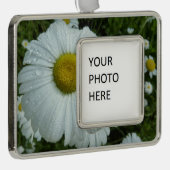 Raindrops op Daisy I Wildflower Floral Verzilverd Kader Ornament (Rechts)
