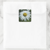 Raindrops op Daisy II Wilde Floral Vierkante Sticker (Tas)
