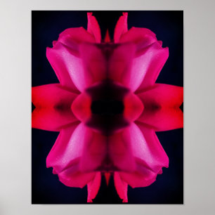 Raindrops op de Abstracte rode rosebud Poster