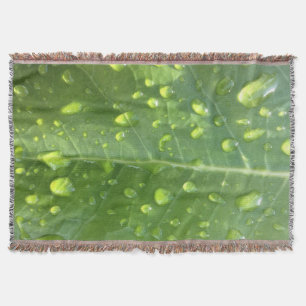 Raindrops op een leder deken