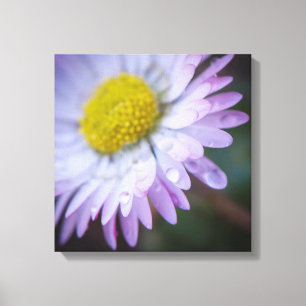 Raindrops op een maaltijd canvas afdruk