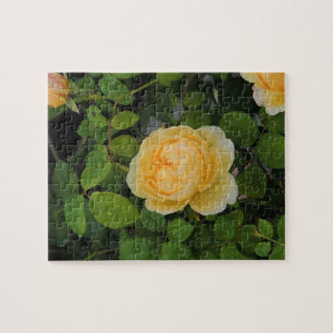 Raindrops op Gele Rose Legpuzzel