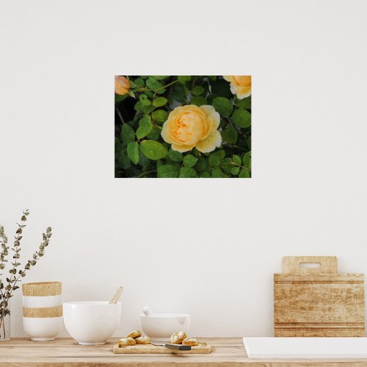 Raindrops op Gele Rose Print (Keuken)