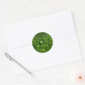 Raindrops op groene lederen stickers (Envelop)