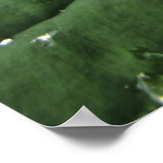 Raindrops op Hosta Leaf Poster (Hoek)