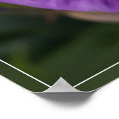 Raindrops op Iris Poster (Hoek)