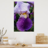 Raindrops op Iris Poster (Keuken)