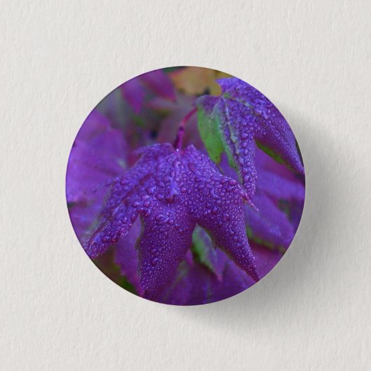 Raindrops op Paarse bladeren Ronde Button 3,2 Cm (Voorkant)