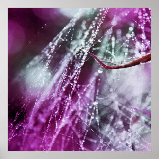 Raindrops op Paarse kobwebmacro-Abstract Poster