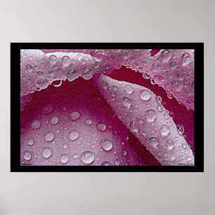 Raindrops-Poster Poster