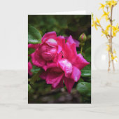 Raindrops & Red Roses, carte (Fleur jaune)