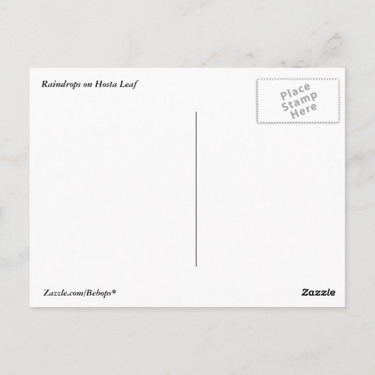Raindrops sur carte postale Hosta Leaf (Dos)