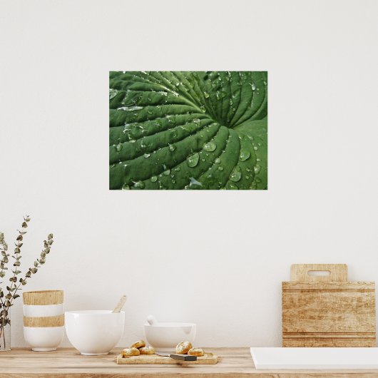 Raindrops sur Hosta Leaf Poster (Cuisine)