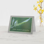 Raindrops sur Olive Leaf carte de sympathie (Fleur jaune)