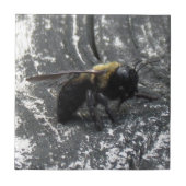 Raindrops Tegeltje (Voorkant)