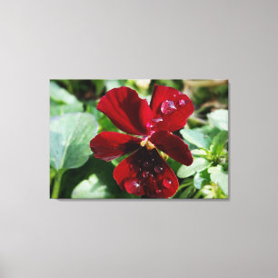 Raindrops voor paniek canvas afdruk