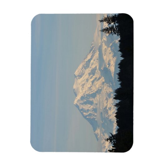 Rainer monteren magneet (Verticaal)