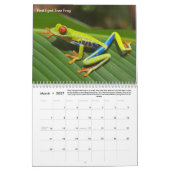 Rainforest Animals & Fun Facts Calendrier 12 mois (Mar 2027)