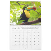 Rainforest Animals & Fun Facts Calendrier 12 mois (Jan 2026)