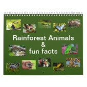 Rainforest Animals & Fun Facts Calendrier 12 mois (Protection)