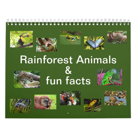 Rainforest Animals & Fun Facts Calendrier 12 mois (Protection)