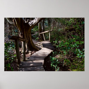Rainforest Boardwalk met Steps Print