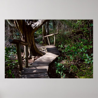 Rainforest Boardwalk met Steps Print